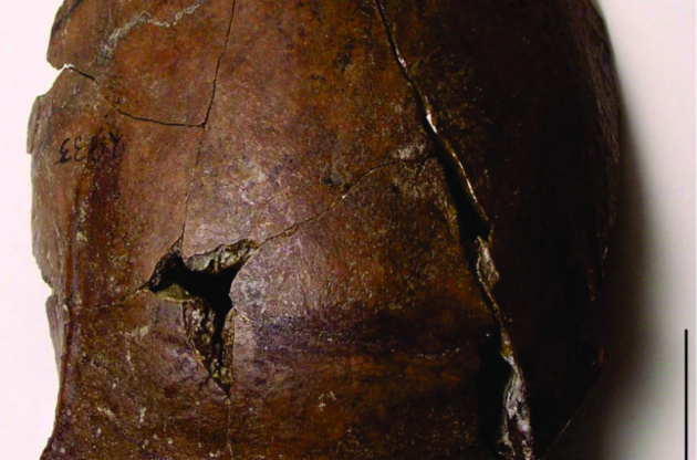 Власник черепа став жертвою цунамі шість тисяч років тому