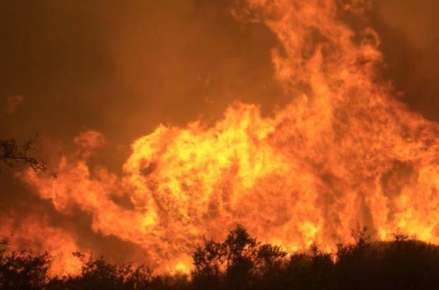 Количество жертв лесных пожаров в США увеличилось до 21