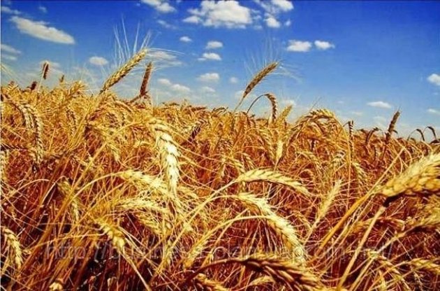 Рентабельность растениеводства в Украине сократилась почти вдвое