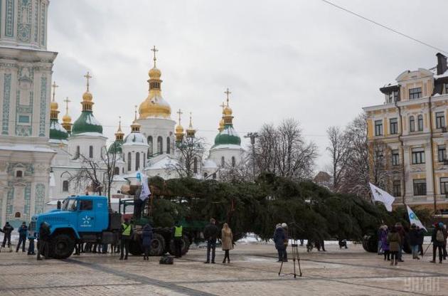 Новогоднюю елку в Киеве установят в начале декабря