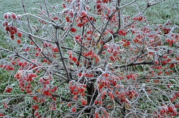 Київський клімат: півроку морози