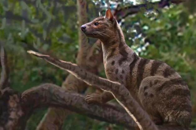 Хищники обитали на Земле 25 миллионов лет назад