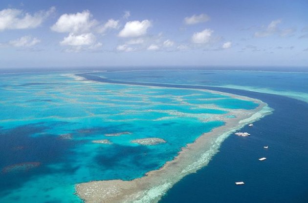 Ученые оценили шансы Большого Барьерного рифа на выживание