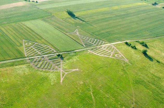 Проект польського художника Ярослава Козяра на українсько-польському кордоні.