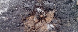 Боевики выпустили по защитникам шахты 