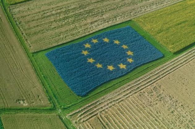 В ЕС задумали новшества в сфере образования