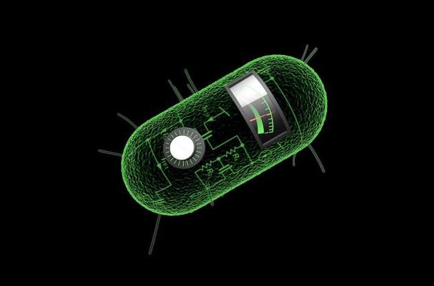 Бактерія записує дані у власну ДНК