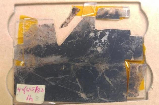 Знайдено скам&#039;янілості віком 3,5 мільярда років