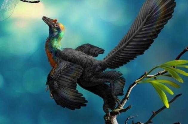 В Китае обнаружен динозавр с радужным оперением