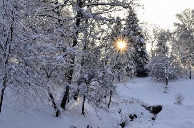 День зимового сонцестояння: сьогодні буде найдовша ніч у році