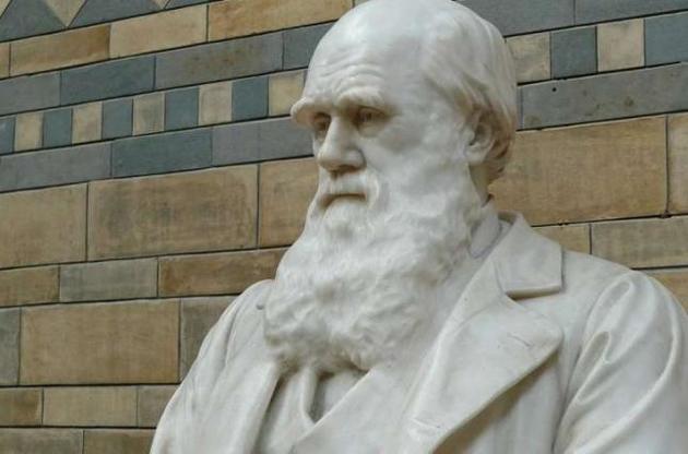 Ученые доказали несостоятельность экологической гипотезы Дарвина