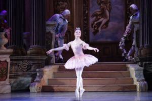 Південна красуня