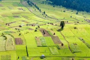Как, наконец, получить давно обещанный земельный пай