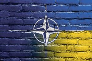 Курс до НАТО: вмотивований вибір проти радянських стереотипів