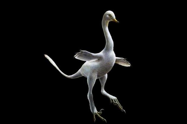 Палеонтологи описали унікального схожого на качку динозавра