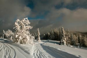 Отець Андрій Афтанас: "Людина втратила відчуття гріховності"