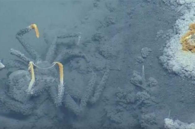 Ученые обнаружили в Мексиканском заливе смертоносное озеро