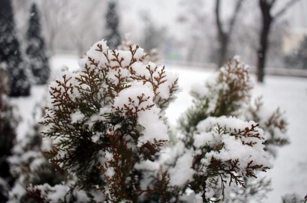 Циклон принесе в Україну дощі і снігопади