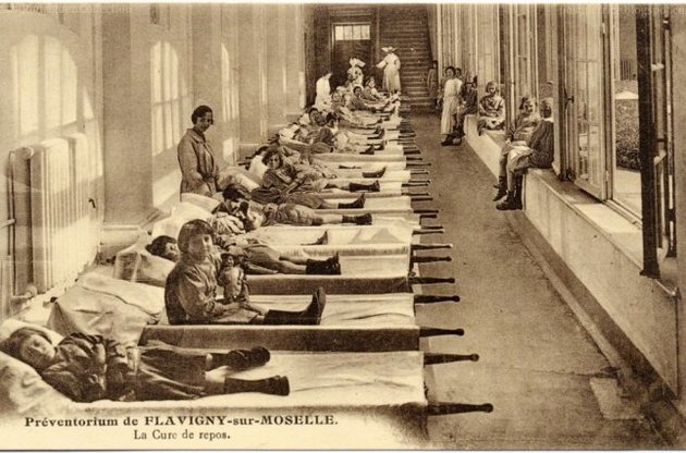 Рознощиками чумної палички виявилися воші