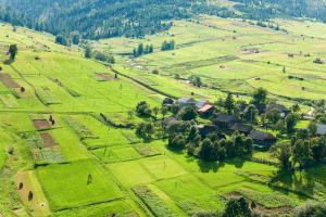 Земля умерших — предмет конфликта  между аграрными фирмами и правоохранителями