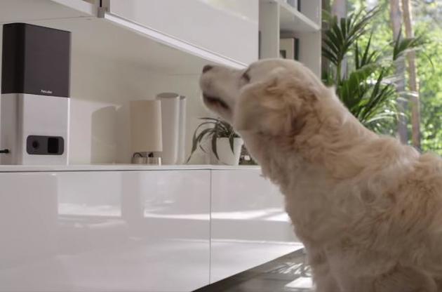 Пристрій Petcube Bites отримав приз у номінації "Найдивніший продукт року"