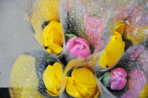 Следующий номер 