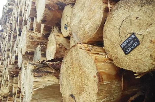 Преступники, незаконно вырубающие лес, отделываются легкими штрафами
