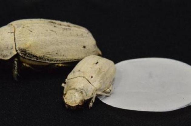 Создан &quot;самый белый в природе&quot; материал