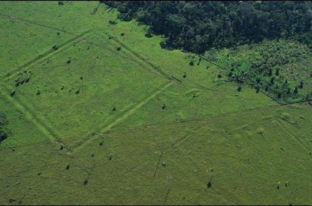 Южную Америку населяла ранее неизвестная цивилизация