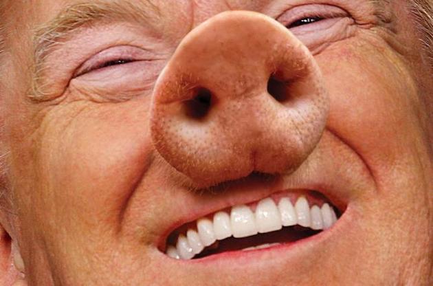 New York Magazine поместили на свою обложку Трампа в образе свиньи