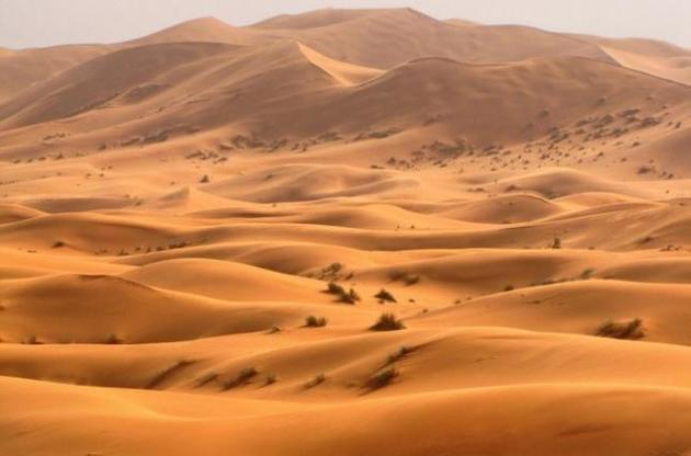 Площа Сахари за останні 100 років збільшилася на 10% - вчені