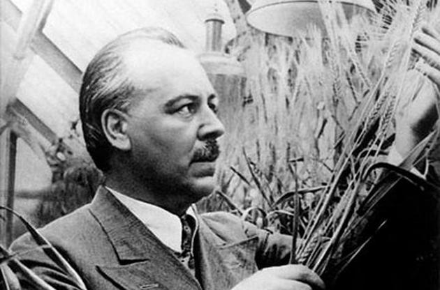 Микола Вавилов