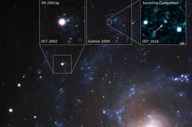 Астрономы обнаружили звезду-компаньона у сверхновой