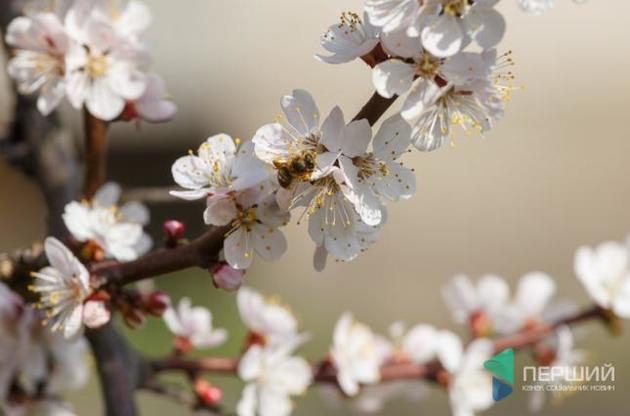 Перші "довгі" вихідні порадують великою кількістю цікавих подій