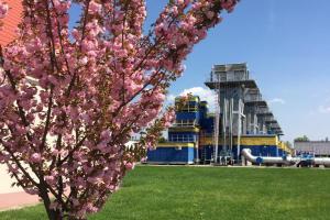 За кордоном труби кладуть похмуро