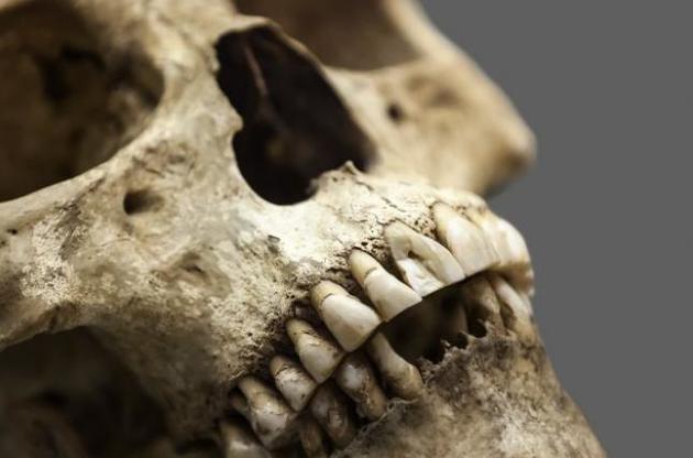 Вчені знайшли смертоносний вірус в останках людини віком 4,5 тисячі років