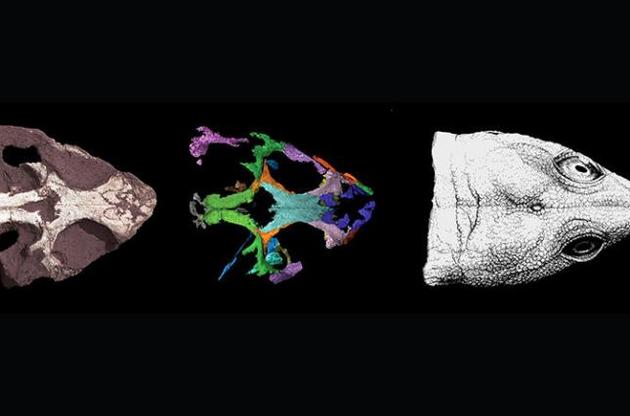 Палеонтологи відкрили викопну рептилію з потужними щелепами
