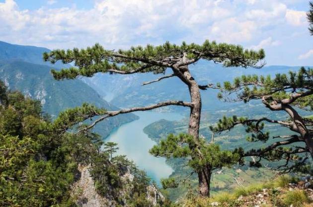 Древнейшее известное загрязнение свинцом датируется 3600 годом до нашей эры