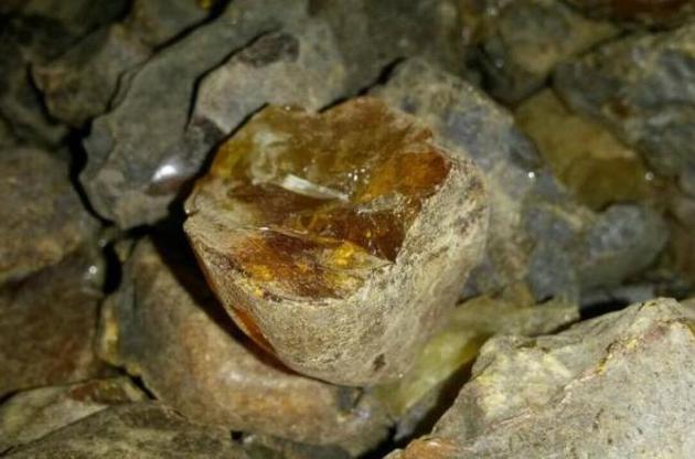 На Житомирщине СБУ изъяла три тонны нелегального янтаря