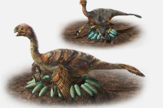 Ученые объяснили механизм высиживания яиц тяжелыми пернатыми динозаврами