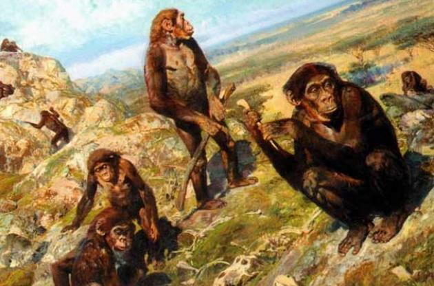 Предки человека начали ходить на двух ногах четыре миллиона лет назад