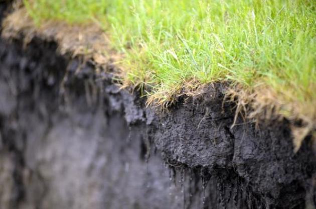 Власники земельних паїв втрачають 3 млрд доларів оренди щорічно через мораторій