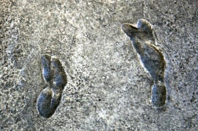 Древние гоминиды начали ходить на прямых ногах еще 3,6 миллиона лет назад