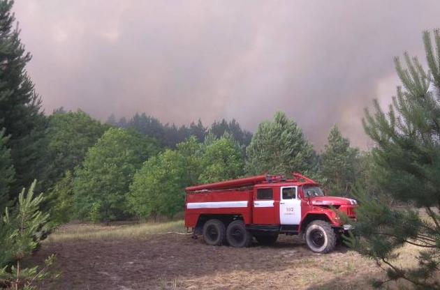 У Чорнобильській зоні горить не той ліс, який сильно постраждав при аварії в 1986 році