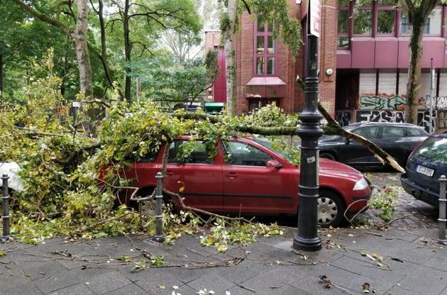 На транспортное средство журналистов упало дерево