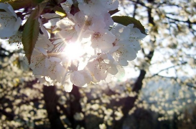 Наступного місяця українців знову чекають &quot;довгі&quot; вихідні