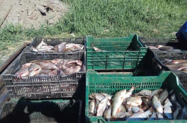 СБУ задержала банду рыбных браконьеров в Азовском море