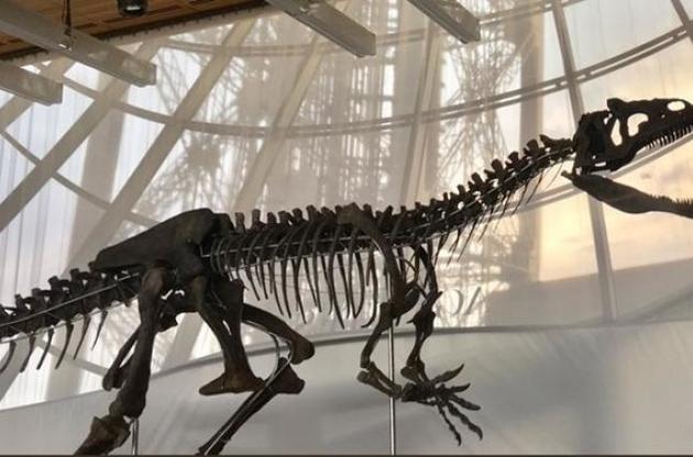 Унікальний скелет динозавра проданий на аукціоні майже за 2,4 мільйона доларів