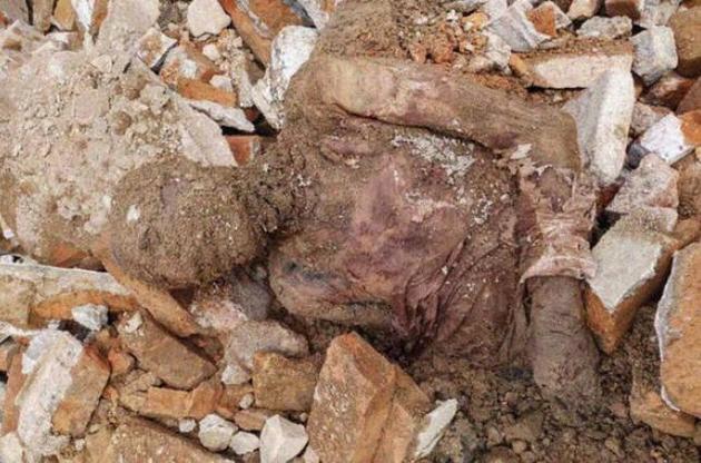 В Иране обнаружили предполагаемую мумию шаха