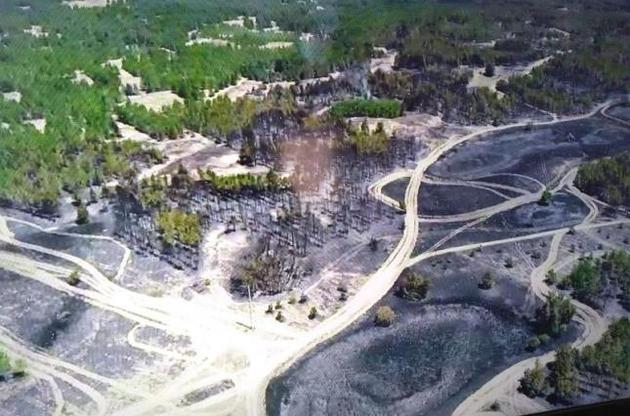Масштабну лісову пожежу на Херсонщині ліквідували